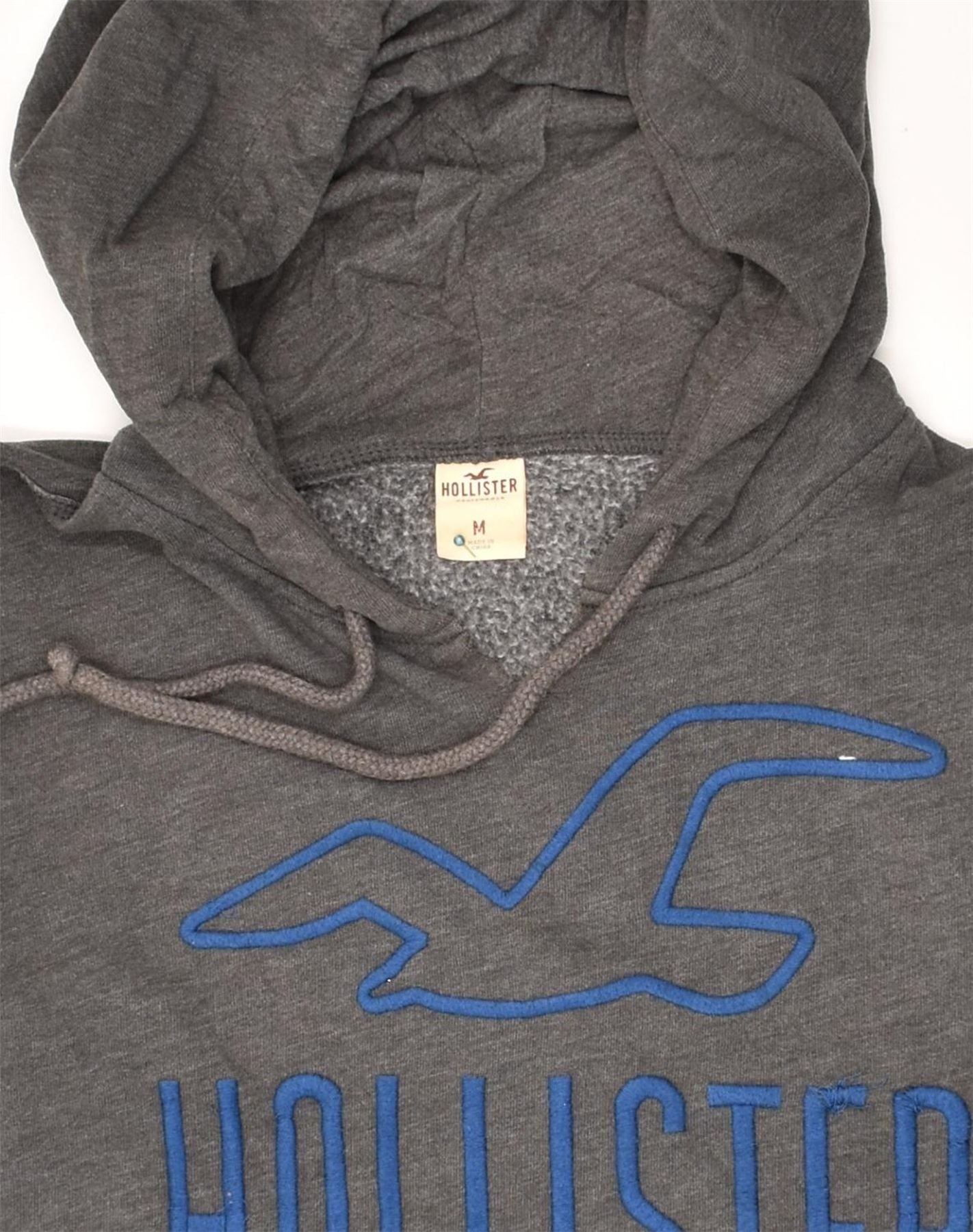HOLLISTER Mens Graphic Hoodie Jumper Medium Grey Cotton | Vintage Hollister | Thrift | Second-Hand Hollister | Used Clothing | Messina Hembry