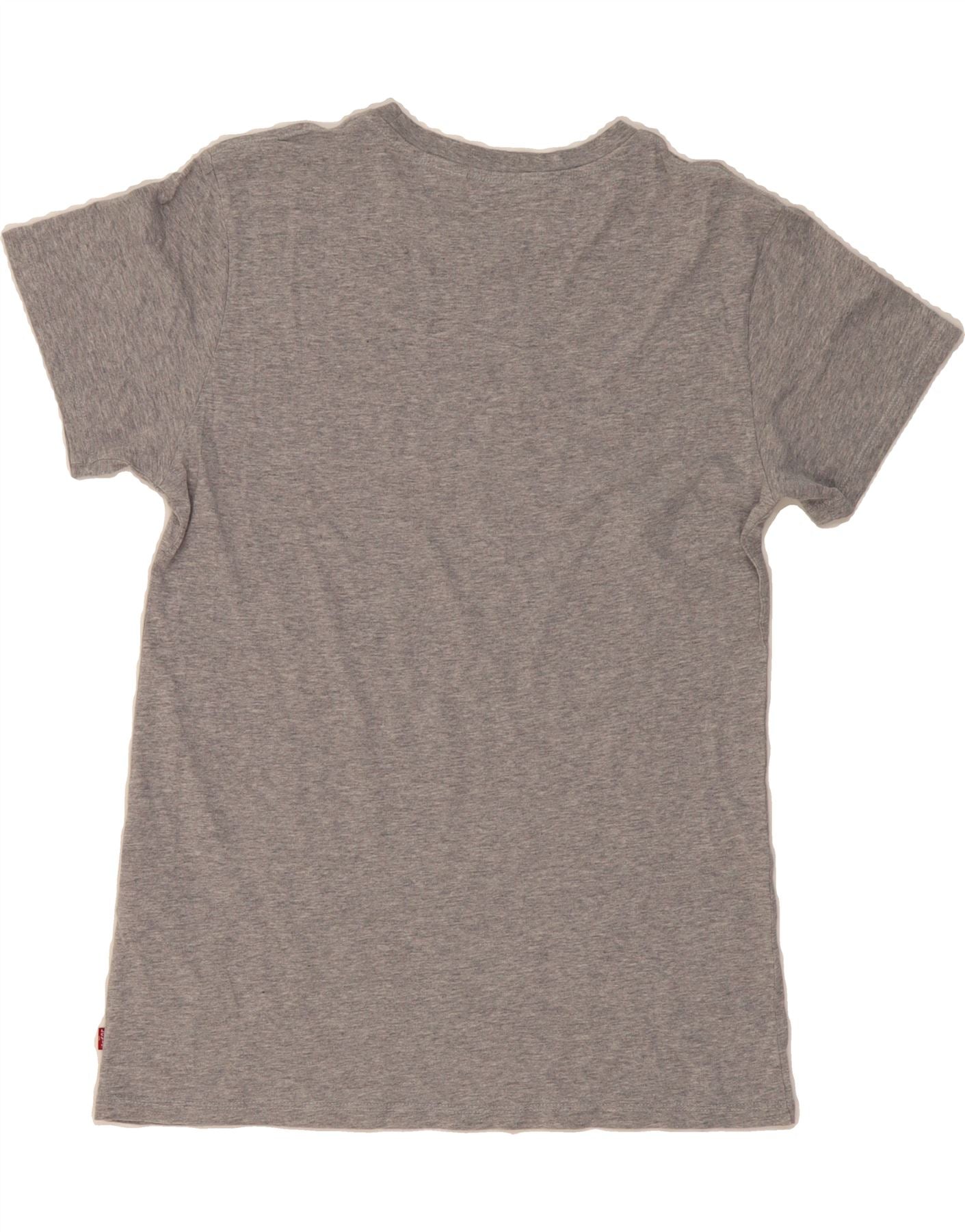 LEVI'S Mens Graphic T-Shirt Top Medium Grey Cotton Vintage Levi's and Second-Hand Levi's from Messina Hembry