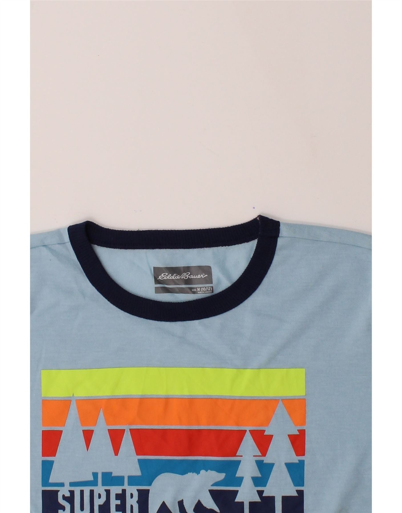 EDDIE BAUER Boys Graphic Top Long Sleeve 10-11 Years Medium  Blue Vintage Eddie Bauer and Second-Hand Eddie Bauer from Messina Hembry