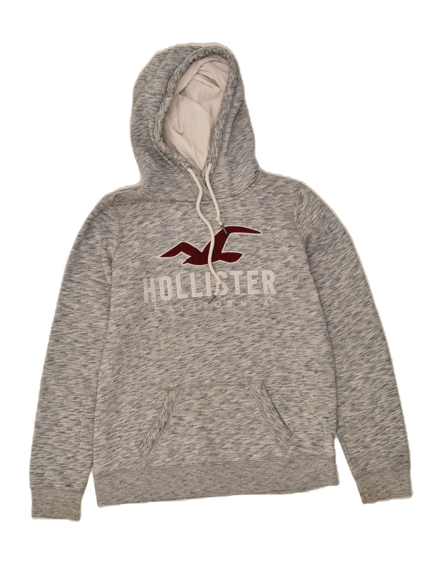 HOLLISTER Mens Graphic Hoodie Jumper Small Grey Pinstripe Cotton | Vintage Hollister | Thrift | Second-Hand Hollister | Used Clothing | Messina Hembry