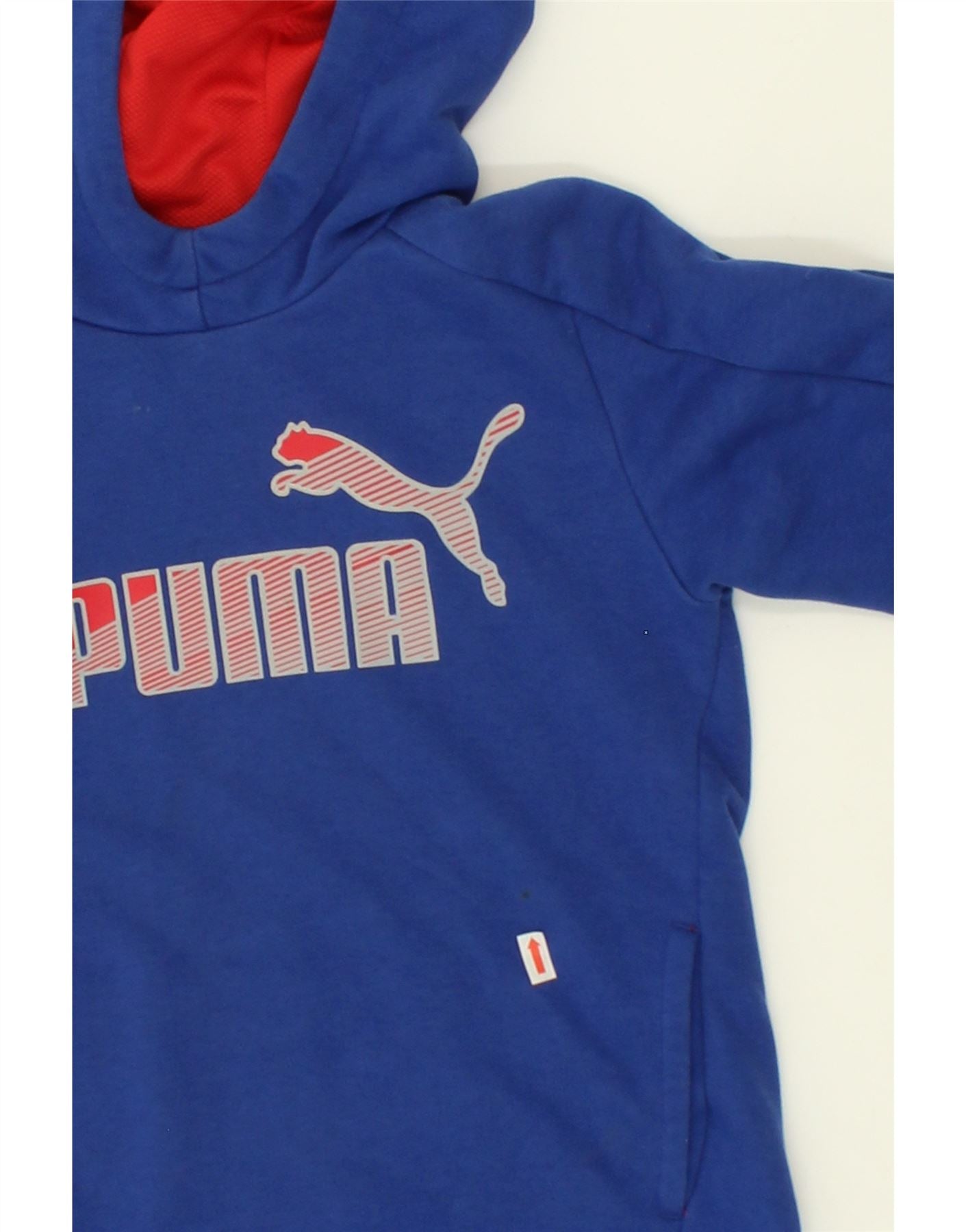 PUMA Boys Graphic Hoodie Jumper 9-10 Years Blue Polyester Vintage Puma and Second-Hand Puma from Messina Hembry