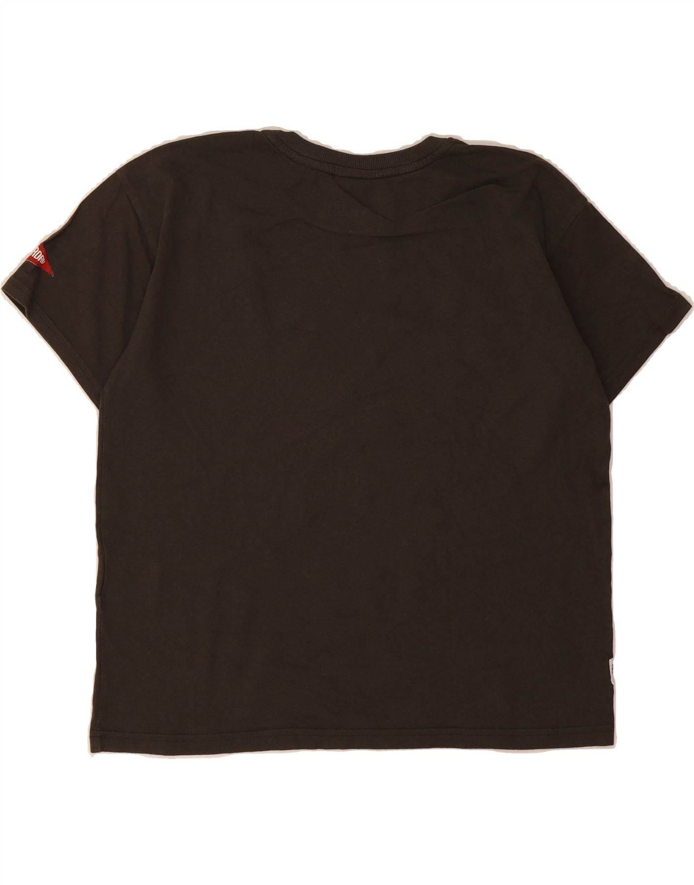 SUPERDRY Womens Crop Oversized Graphic T-Shirt Top UK 10 Small  Brown Vintage Superdry and Second-Hand Superdry from Messina Hembry