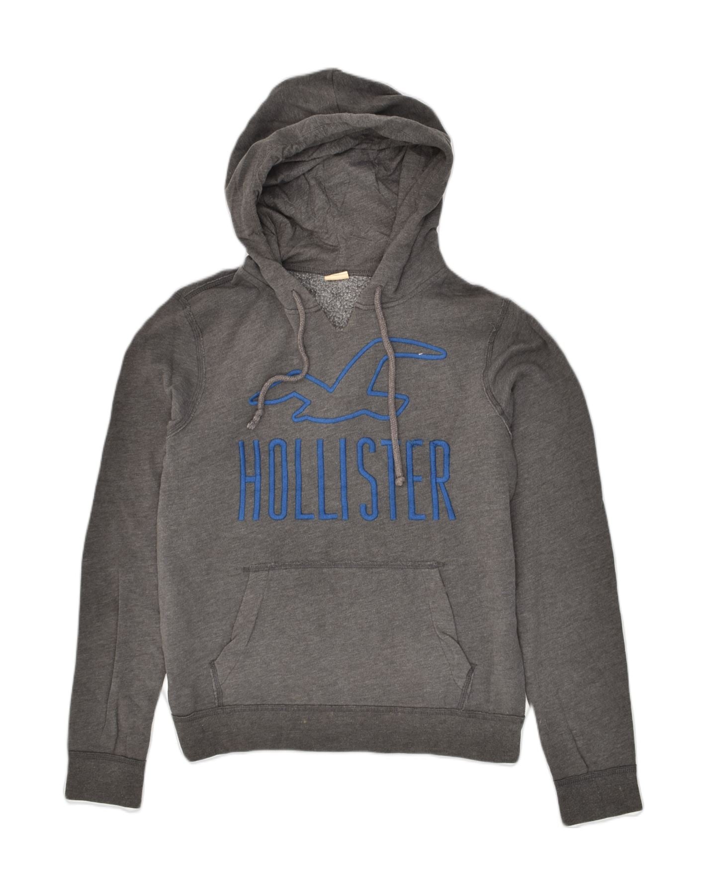 HOLLISTER Mens Graphic Hoodie Jumper Medium Grey Cotton | Vintage Hollister | Thrift | Second-Hand Hollister | Used Clothing | Messina Hembry