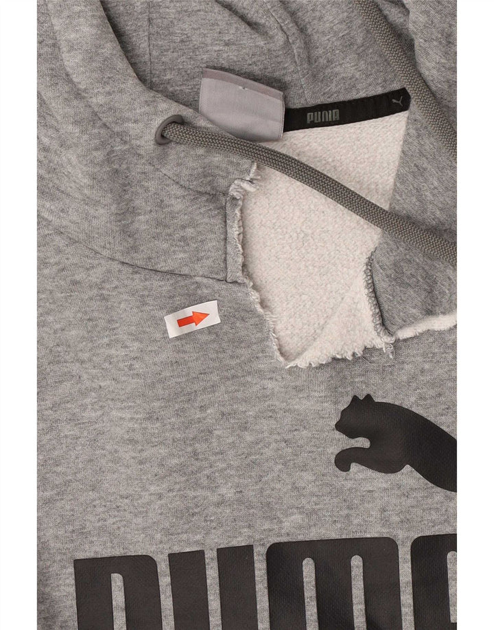 Puma Mens Graphic Hoodie Jumper Medium Grey Flecked Cotton