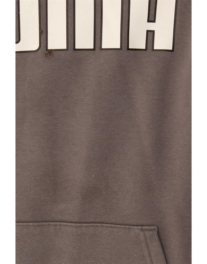 Puma Mens Graphic Hoodie Jumper Medium Grey Cotton