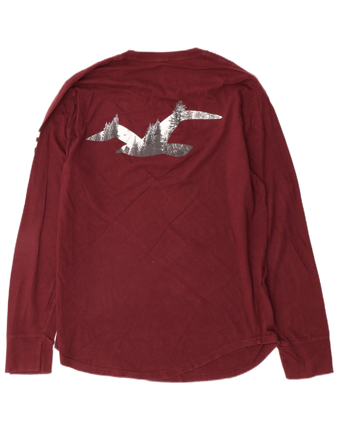 Hollister Mens Graphic Top Long Sleeve Large Maroon Cotton