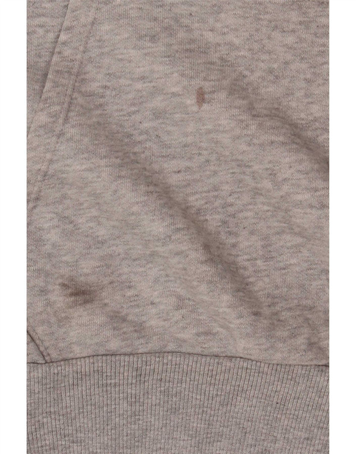 Puma Mens Graphic Hoodie Jumper Small Grey Cotton