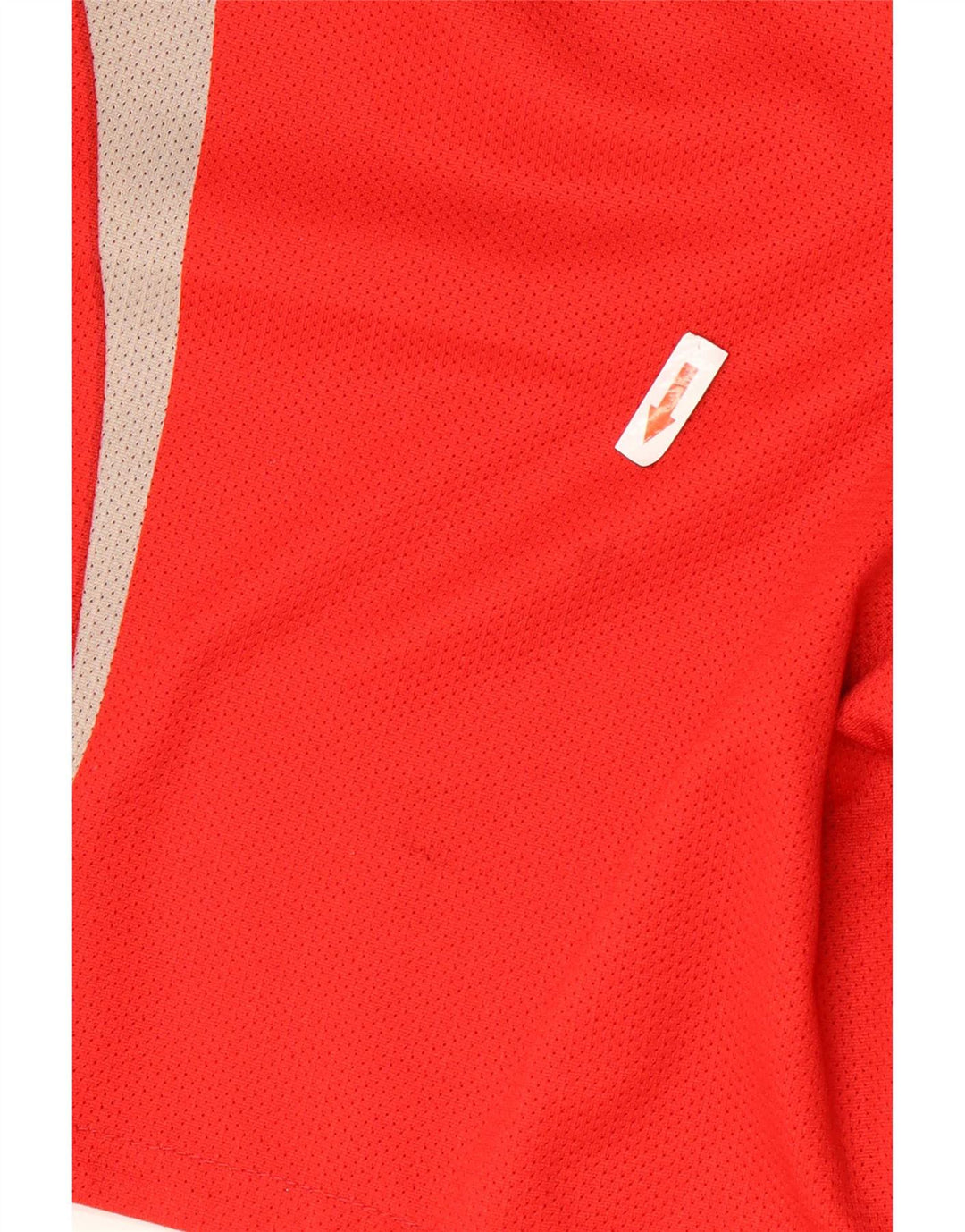 Champion Mens Graphic Sport Shorts Large Red Colourblock Polyester