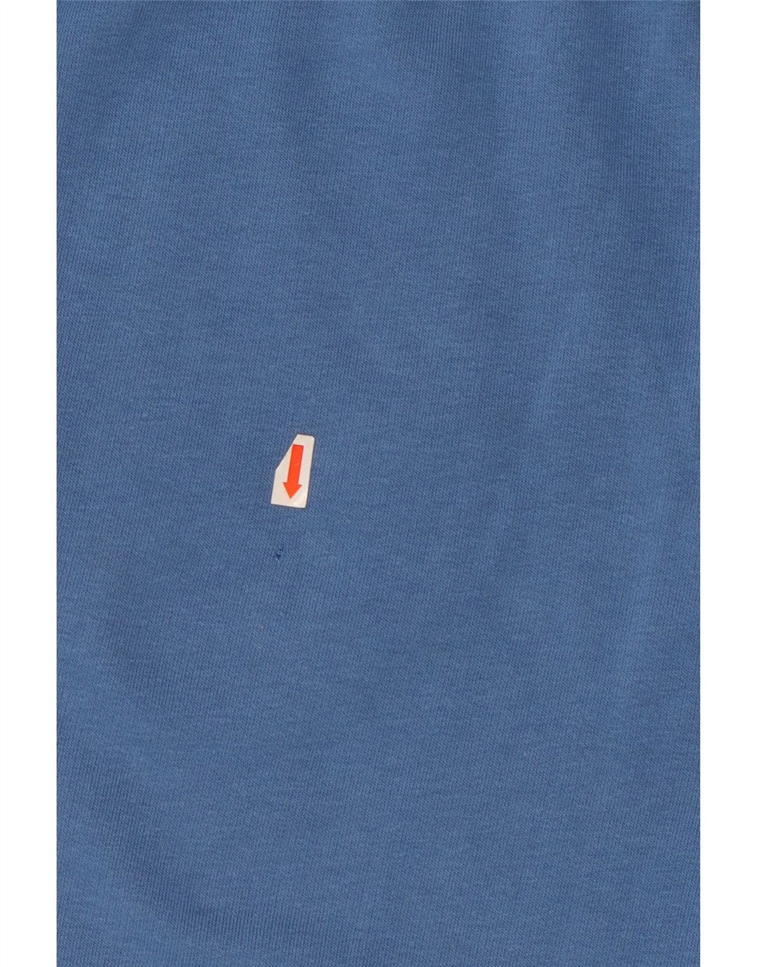 Champion Mens Graphic Sport Shorts XL  Blue Cotton