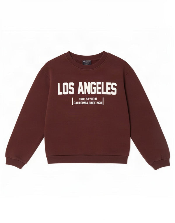 Zara Womens Graphic Sweatshirt Jumper UK 10 Small Brown Cotton