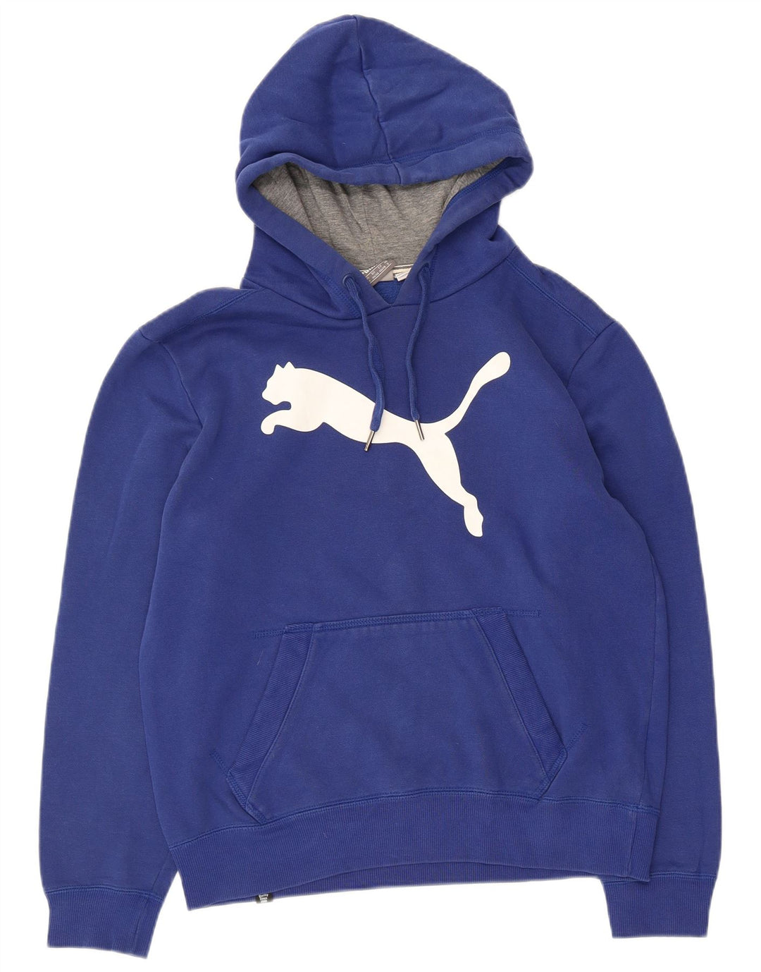 Puma Mens Graphic Hoodie Jumper Small Blue Cotton