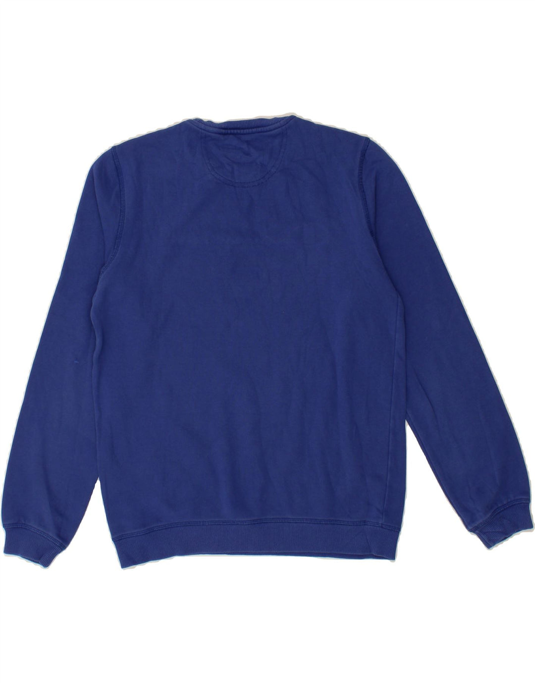 CHAMPION Boys Graphic Sweatshirt Jumper 13-14 Years XL Blue Vintage Champion and Second-Hand Champion from Messina Hembry 