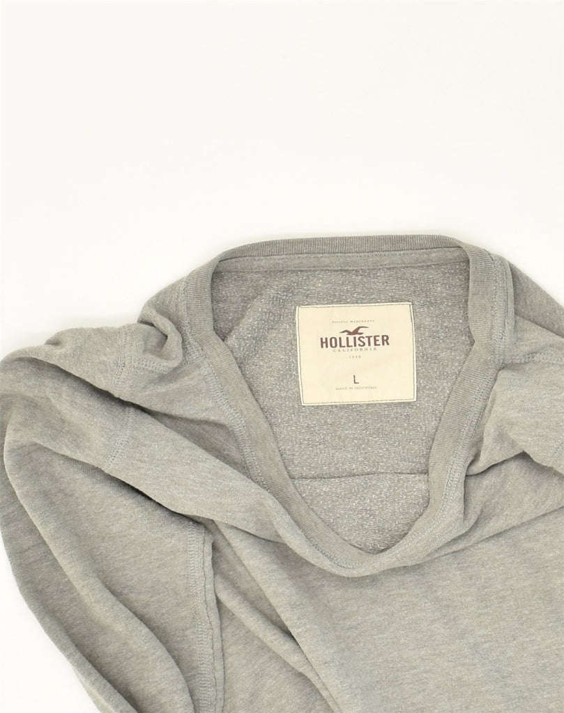 HOLLISTER Womens Sweatshirt Jumper UK 14 Large Grey Cotton | Vintage Hollister | Thrift | Second-Hand Hollister | Used Clothing | Messina Hembry 