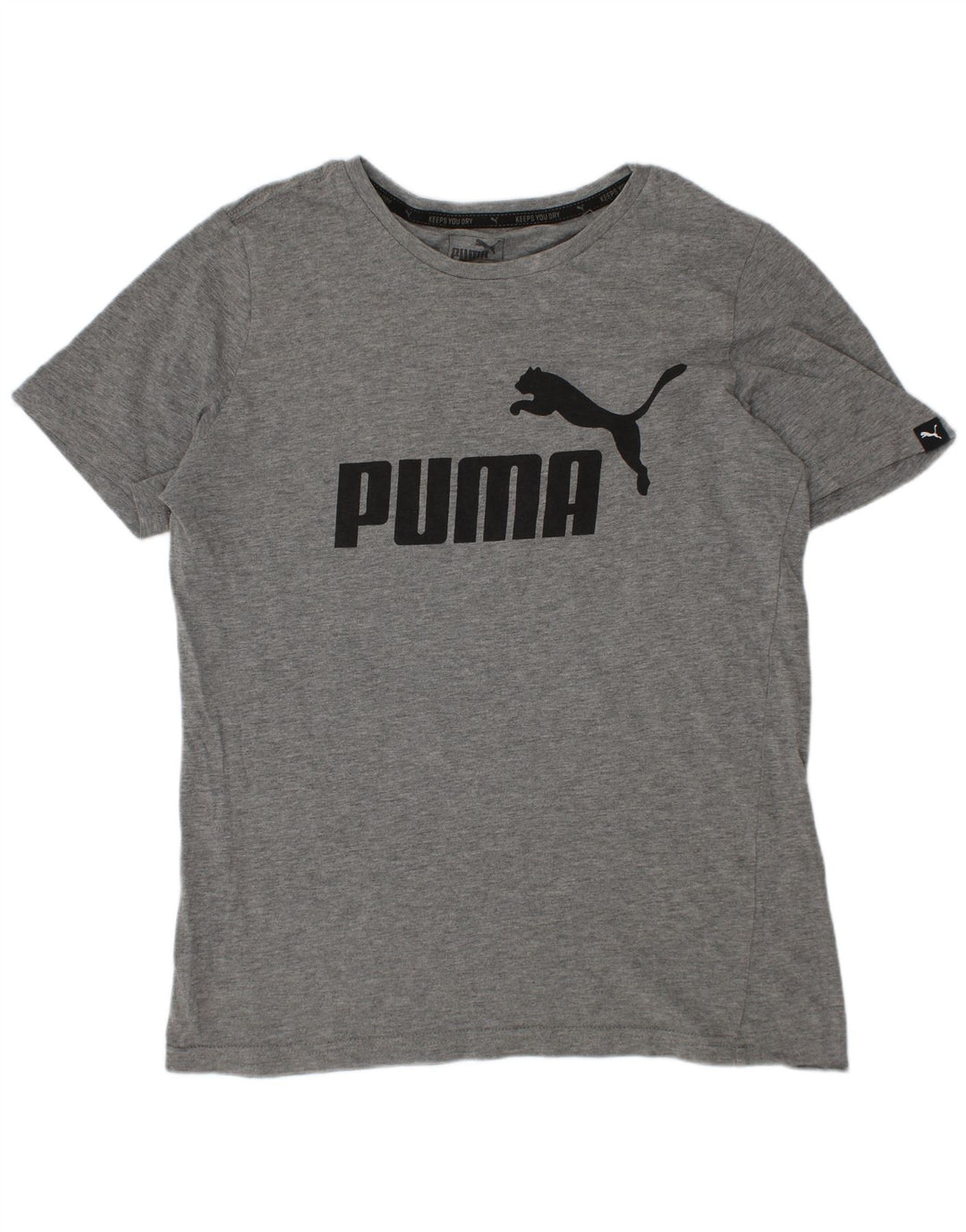 Puma Boys Graphic T-Shirt Top 11-12 Years Grey