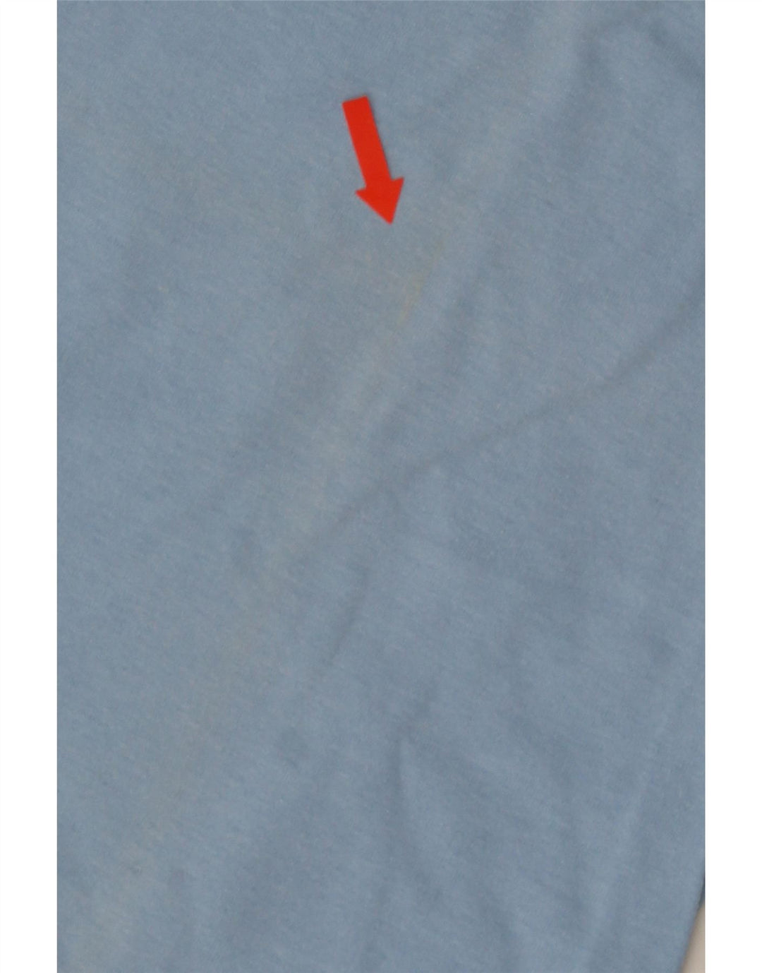 Champion Mens Graphic T-Shirt Top Large Blue