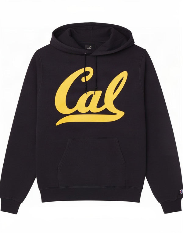 Champion Mens Graphic Hoodie Jumper Small Navy Blue