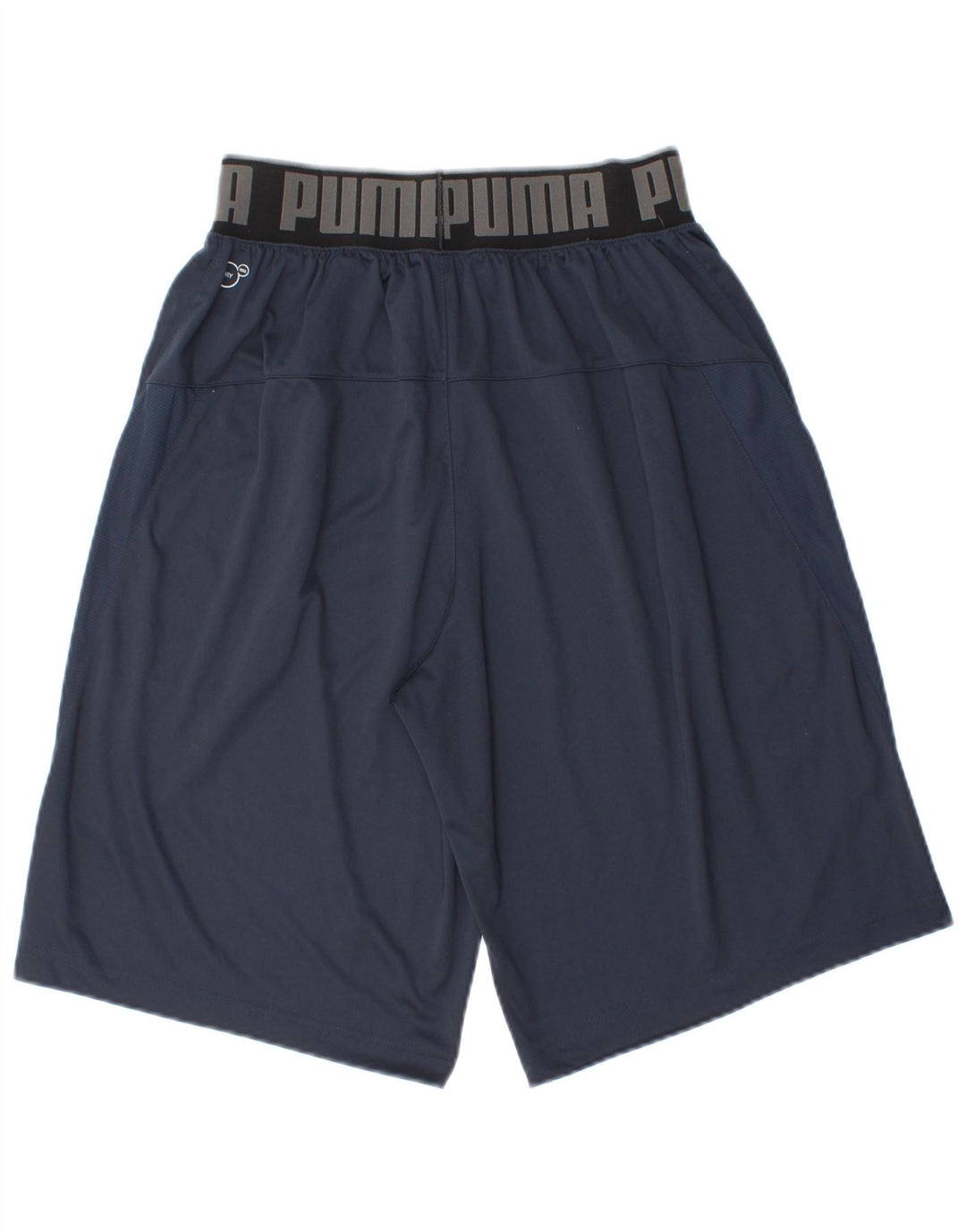 Puma Mens Sport Shorts Small Navy Blue Polyester