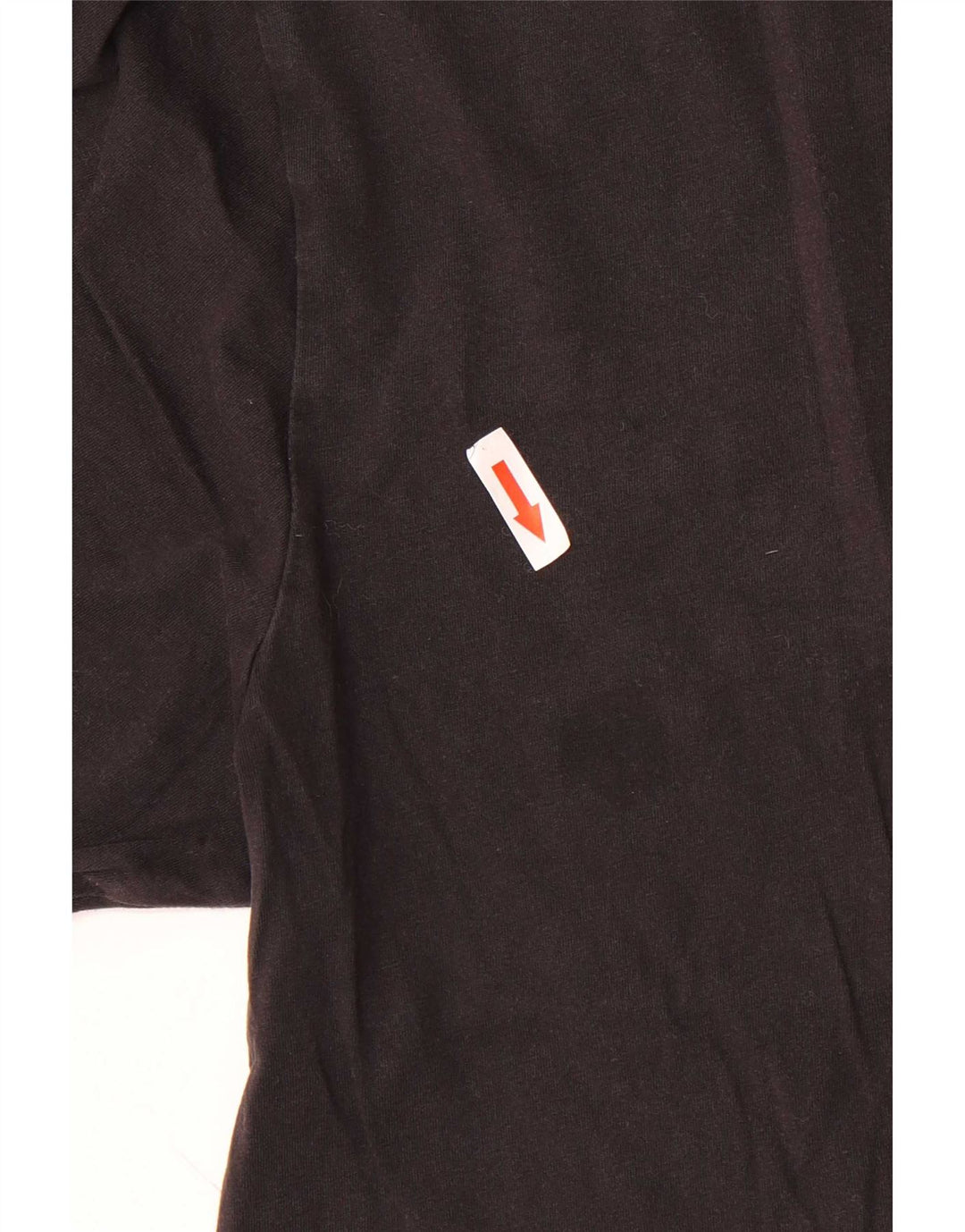 Champion Mens Graphic T-Shirt Top Large Multicoloured Colourblock Cotton
