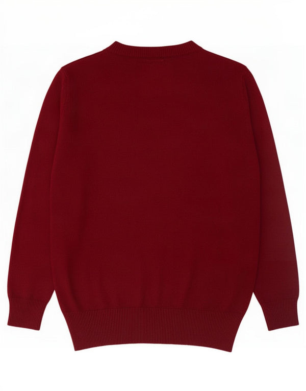 Abercrombie & Fitch Mens Muscle V-Neck Jumper Sweater Large Burgundy Cotton