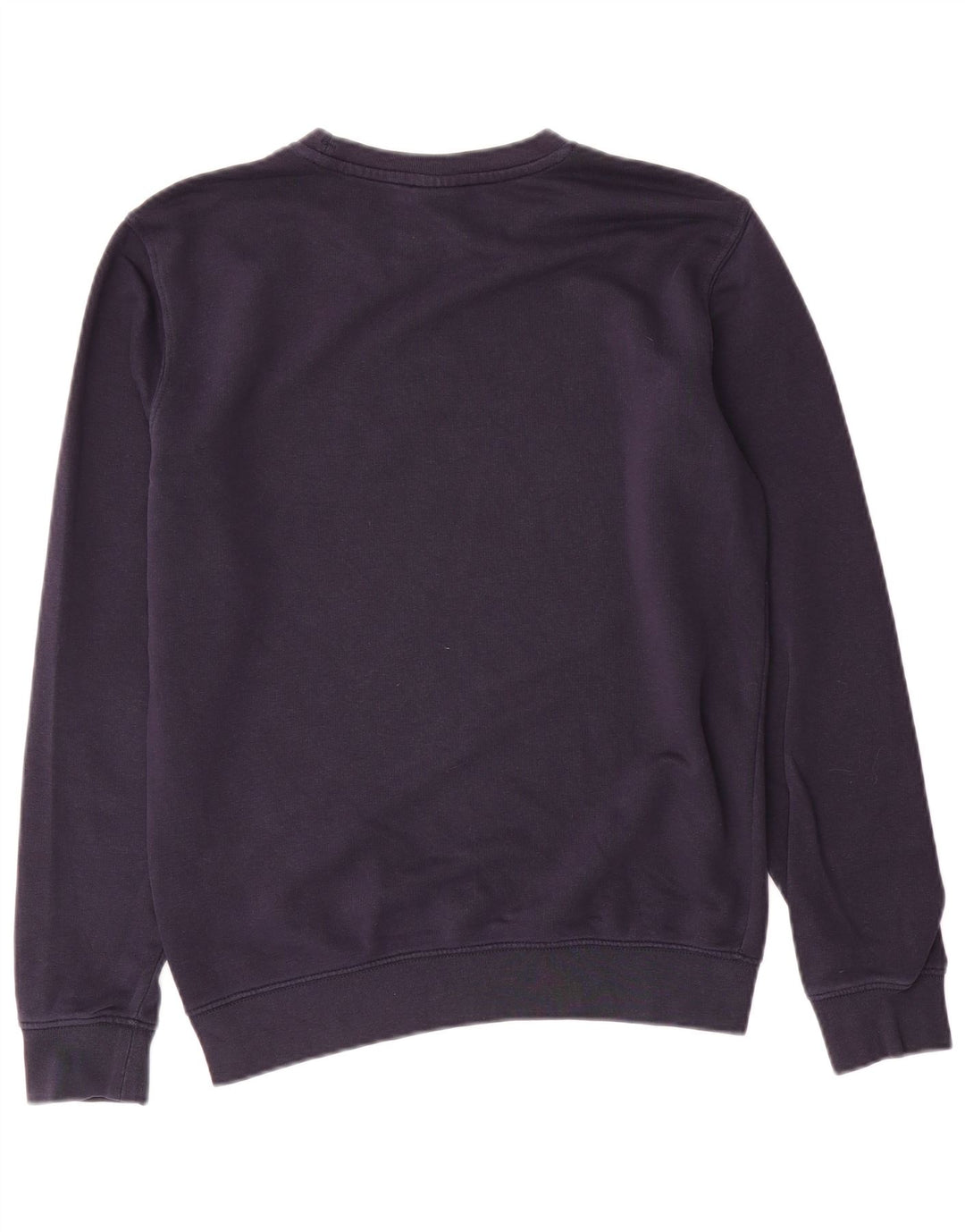 Champion Mens Graphic Sweatshirt Jumper Small Navy Blue Cotton