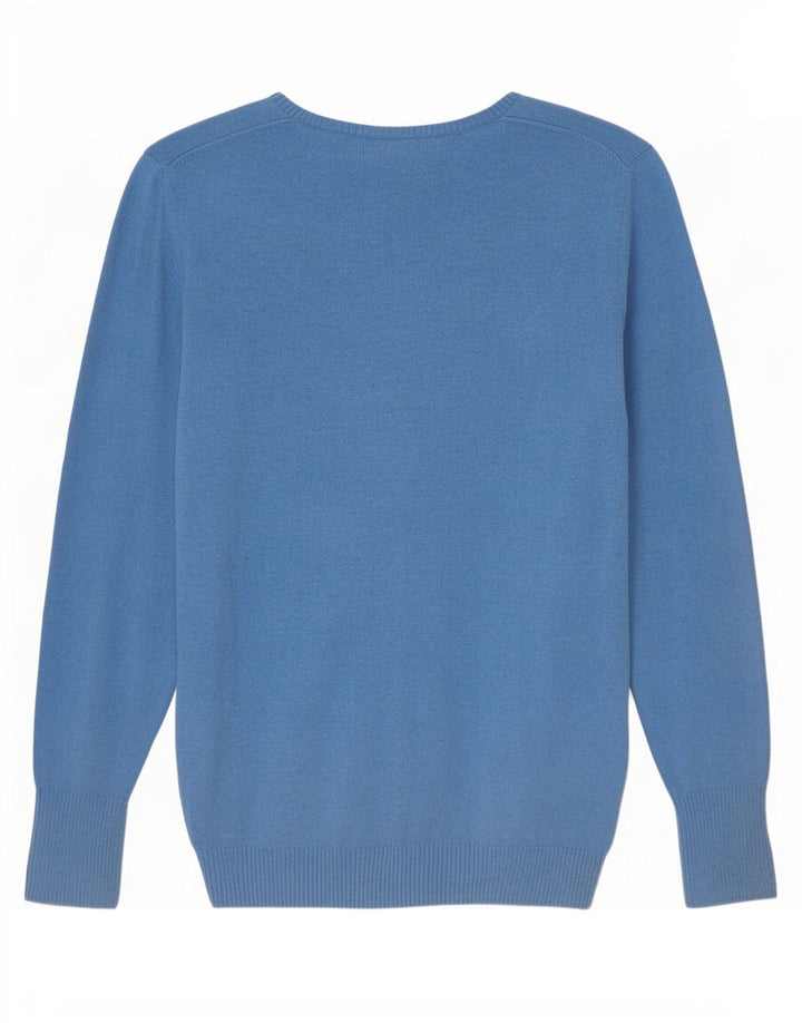 Eddie Bauer Mens V-Neck Jumper Sweater Small Blue Cotton