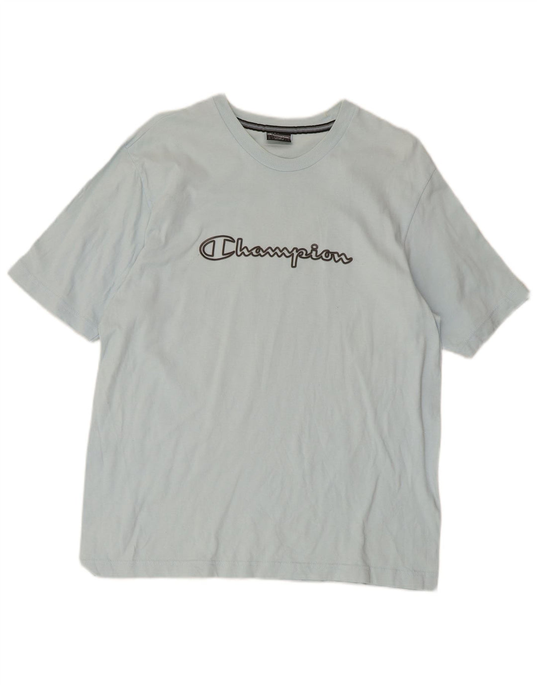 Champion Mens Graphic T-Shirt Top Large Blue