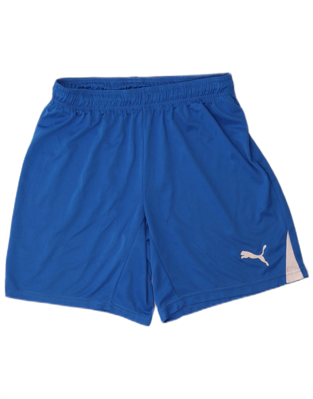 PUMA Mens Sport Shorts Large  Blue Polyester