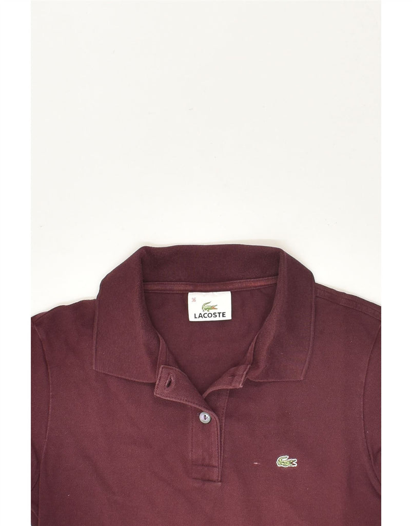 LACOSTE Womens Polo Shirt Size 36 Small Burgundy Cotton | Vintage Lacoste | Thrift | Second-Hand Lacoste | Used Clothing | Messina Hembry 