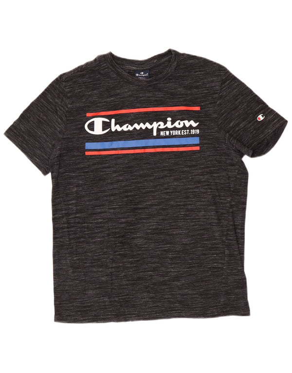 Champion Mens Graphic T-Shirt Top Small Grey Pinstripe