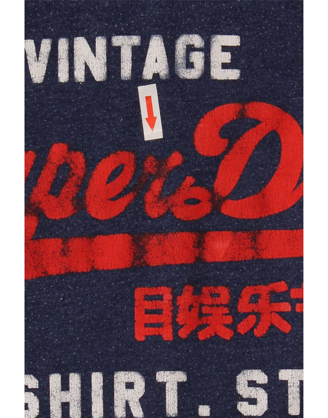 Superdry Mens Graphic T-Shirt Top Large Blue Cotton