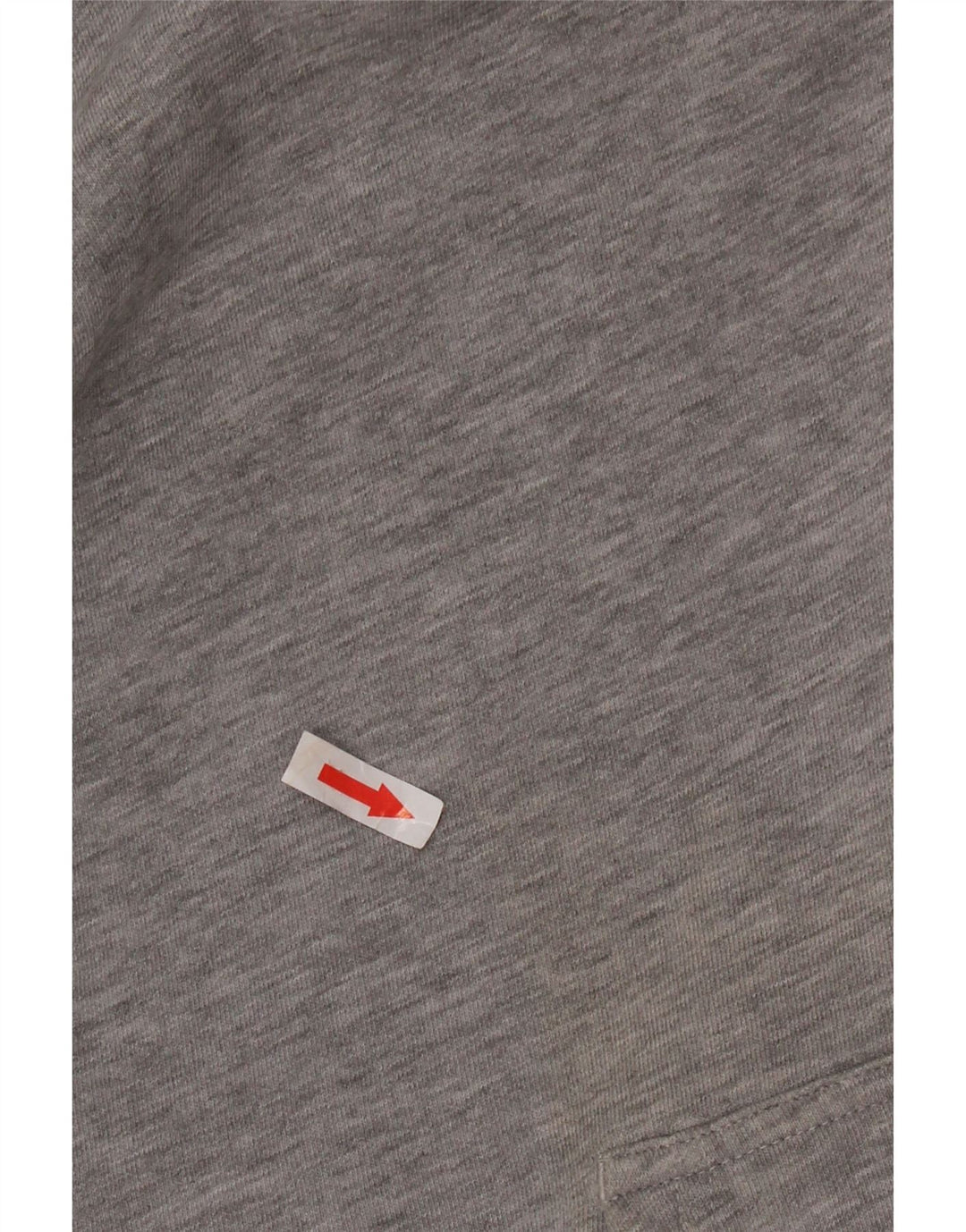 Champion Mens Hoodie Jumper Large Grey Cotton