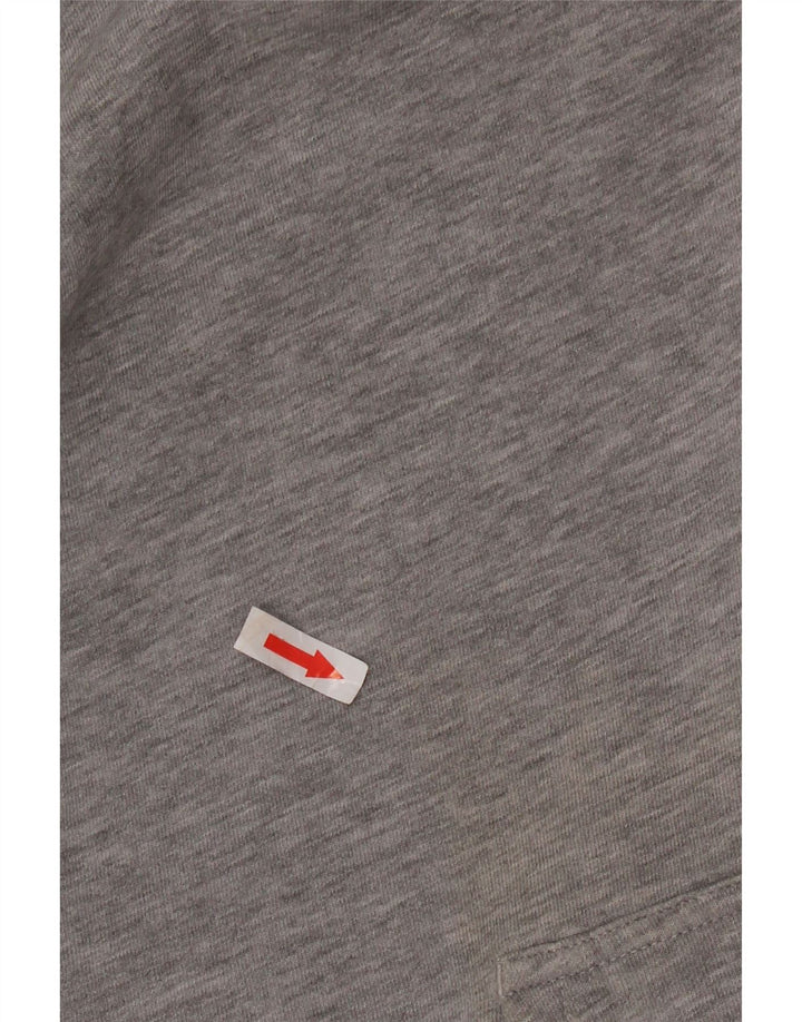 Champion Mens Hoodie Jumper Large Grey Cotton