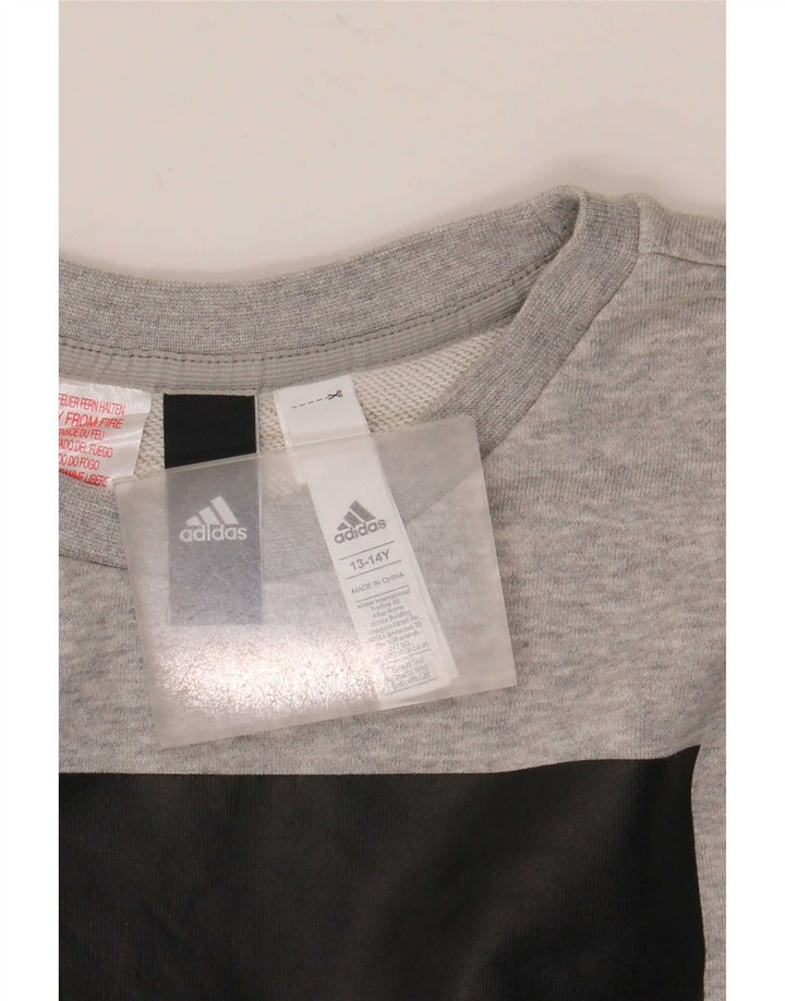 Adidas Boys Graphic Sweatshirt Jumper 13-14 Years Grey Cotton
