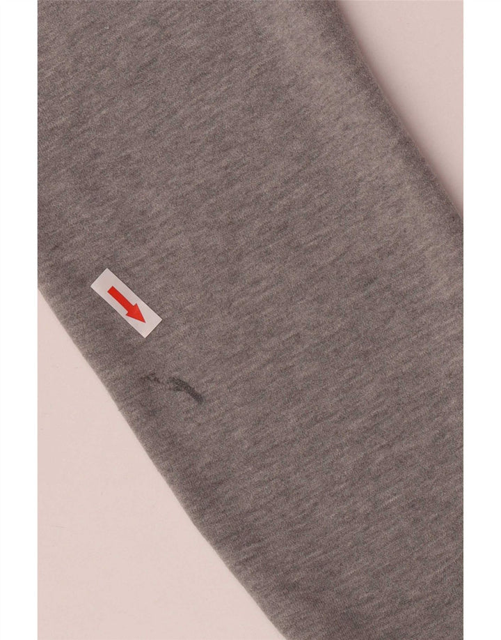 Ellesse Mens Graphic Regular Fit Hoodie Jumper Small Grey Cotton