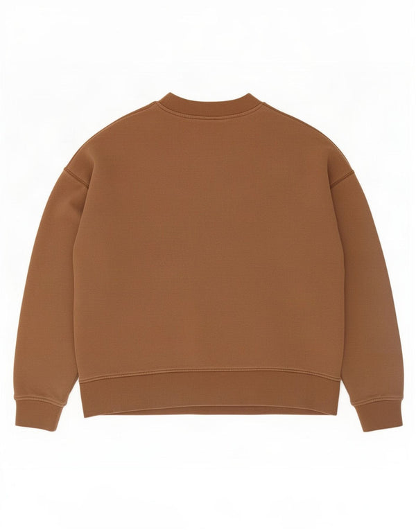 Zara Mens Loose Fit Sweatshirt Jumper Small Brown Cotton