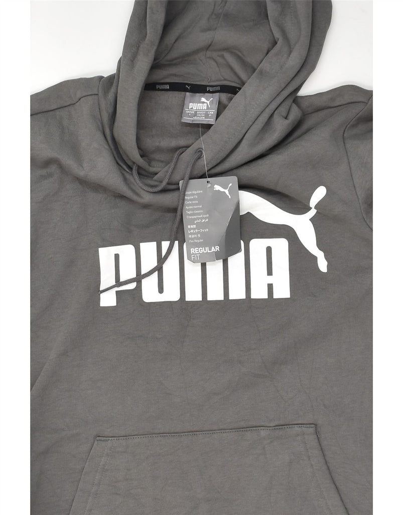 PUMA Mens Regular Fit Graphic Hoodie Jumper Small Grey Cotton | Vintage Puma | Thrift | Second-Hand Puma | Used Clothing | Messina Hembry 