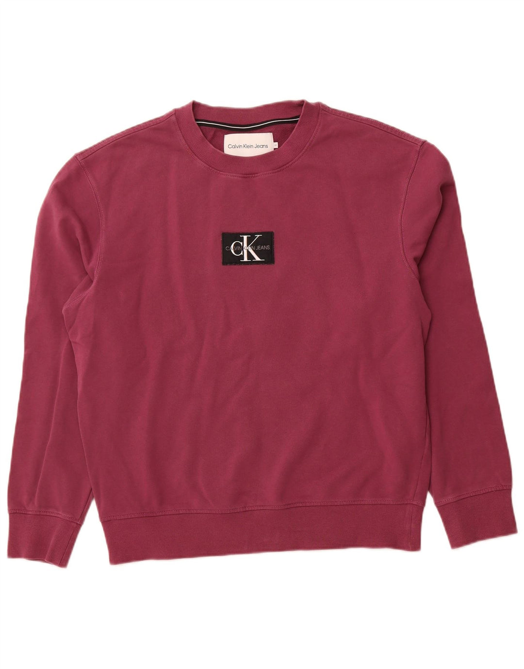 CALVIN KLEIN JEANS Mens Graphic Sweatshirt Jumper Medium Purple