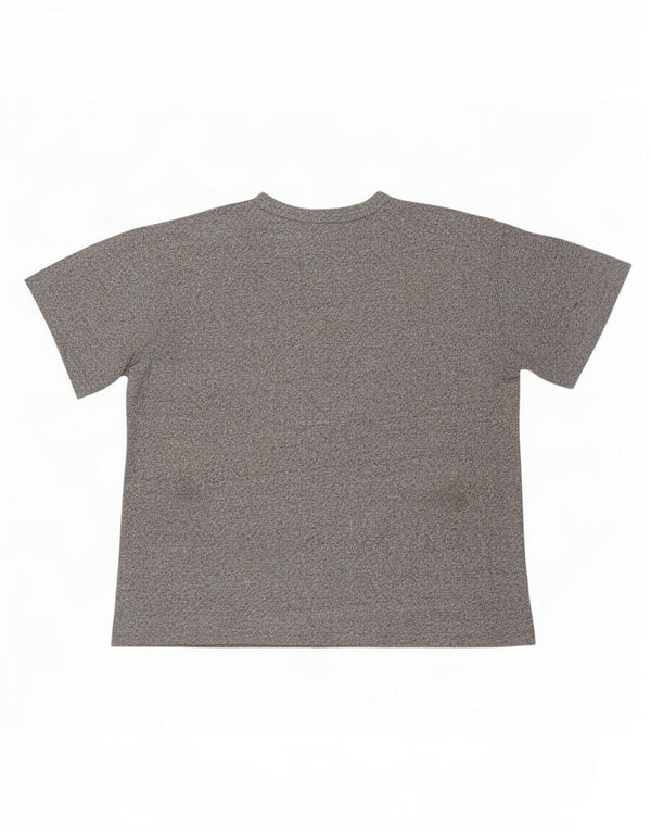 Champion Mens Graphic T-Shirt Top Large Grey Flecked