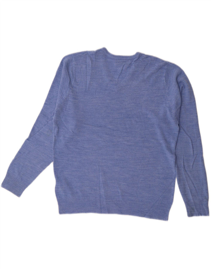 MARKS & SPENCER Mens Regular Fit V-Neck Jumper Sweater Medium Blue Acrylic