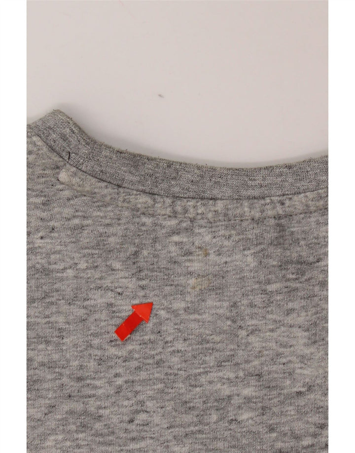 Champion Mens Graphic Sweatshirt Jumper Small Grey Flecked Cotton
