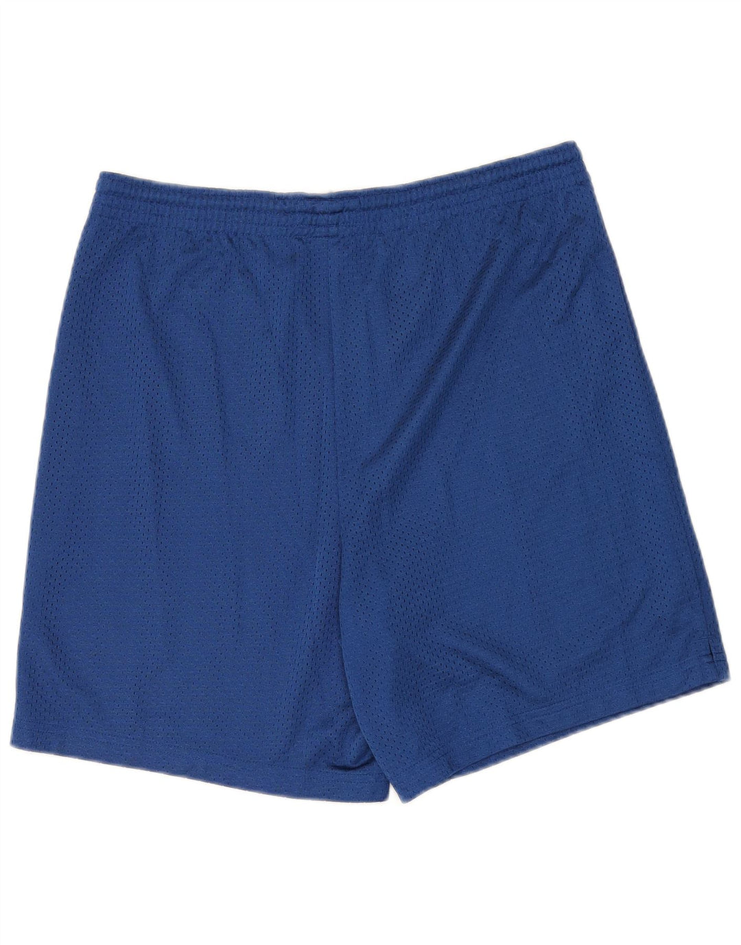 CHAMPION Mens Graphic Sport Shorts Medium  Blue Polyester