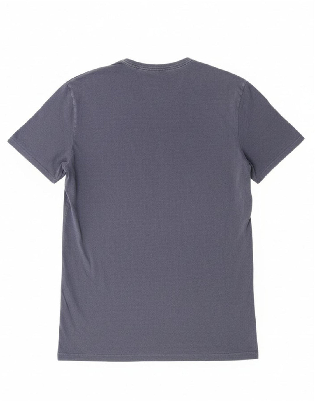 GUESS Mens Graphic T-Shirt Top Large Blue