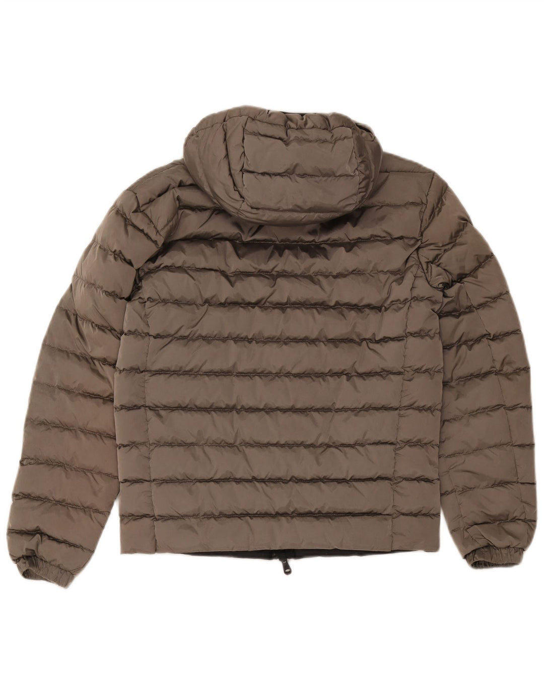 Refrigiwear Mens Hooded Padded Jacket IT 46 Small Grey Polyamide