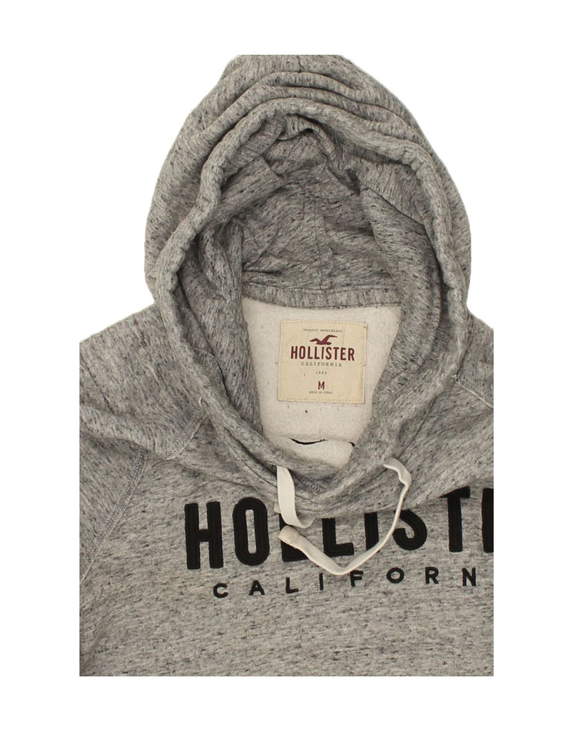 HOLLISTER Mens Graphic Hoodie Jumper Medium Grey Flecked Cotton | Vintage Hollister | Thrift | Second-Hand Hollister | Used Clothing | Messina Hembry 