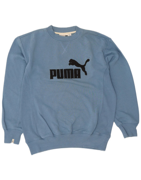 Puma Mens Graphic Loose Fit Sweatshirt Jumper Small Blue Cotton