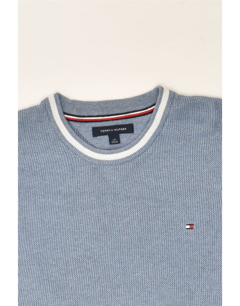 TOMMY HILFIGER Mens Slim Fit Crew Neck Jumper Sweater Large Blue Cotton | Vintage Tommy Hilfiger | Thrift | Second-Hand Tommy Hilfiger | Used Clothing | Messina Hembry 