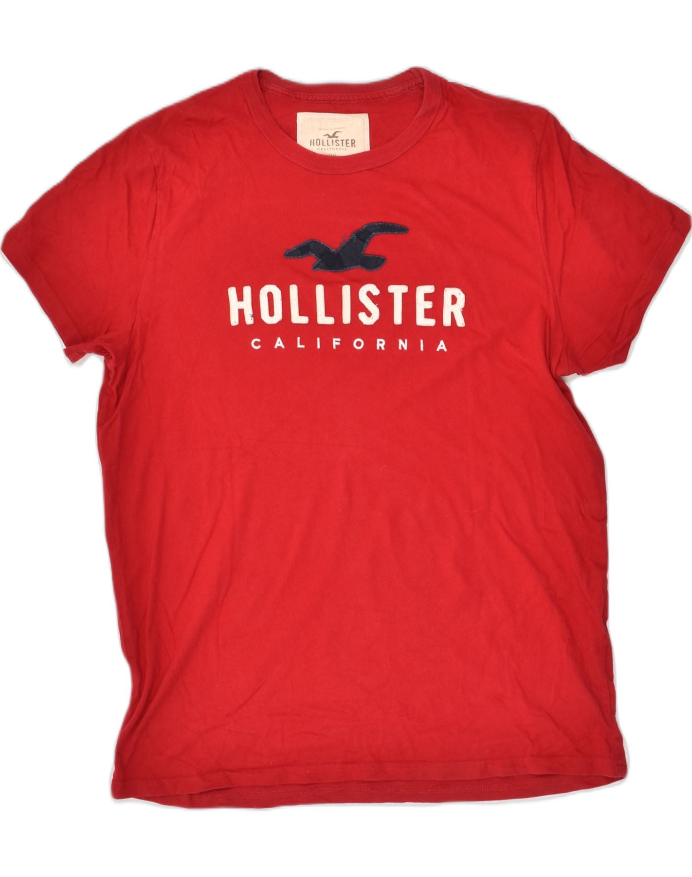HOLLISTER Mens Graphic T-Shirt Top XL Red Cotton, Vintage & Second-Hand  Clothing Online