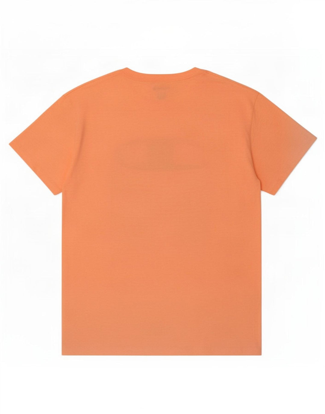 Champion Mens Graphic T-Shirt Top Large Orange Cotton