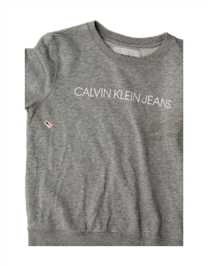 CALVIN KLEIN JEANS Womens Graphic Sweatshirt Jumper UK 10 Small Grey Vintage Calvin Klein Jeans and Second-Hand Calvin Klein Jeans from Messina Hembry 
