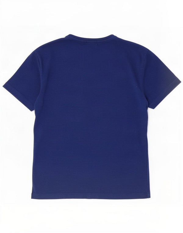 Calvin Klein Jeans Mens T-Shirt Top Small Blue Striped Cotton